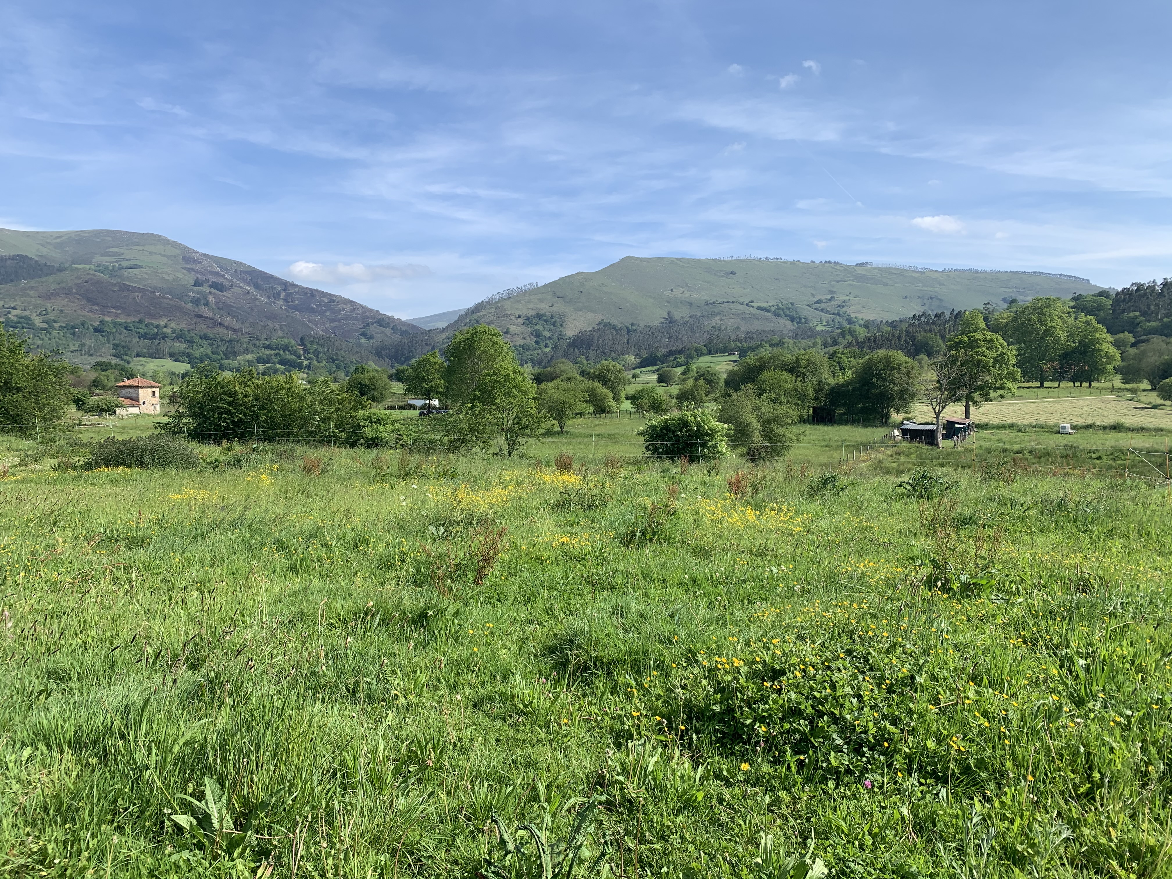 Terreno Urbanizable de 1.800m2 en Villanueva de la Peña con espectaculares Vistas a la Montaña para construir un Chalet Individual. Precio: 160.000€.